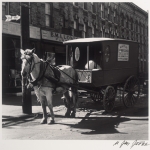 Horse and Wagon, Sutter Ave, 1949