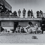 Coney Island Polar Bears,  Brooklyn, c1951